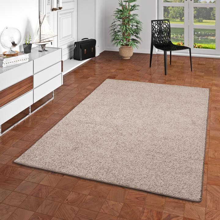Produktbild Snapstyle Hochflor Velours Teppich Mona (160 x 240 cm)