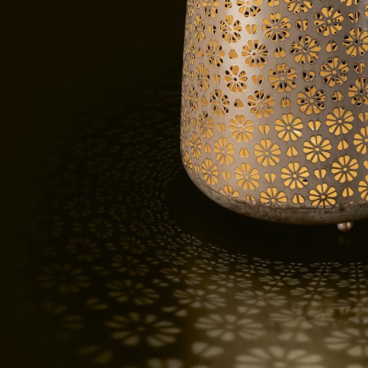 Image du produit STT Antic