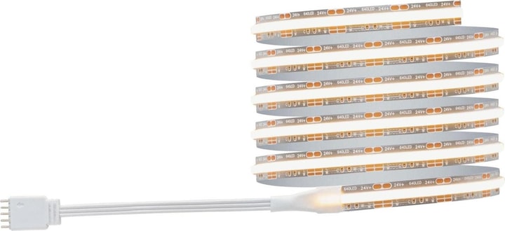 Actual product image Paulmann MaxLED 500 Full-Line COB Stripe Set (White, 150 cm, Indoor)