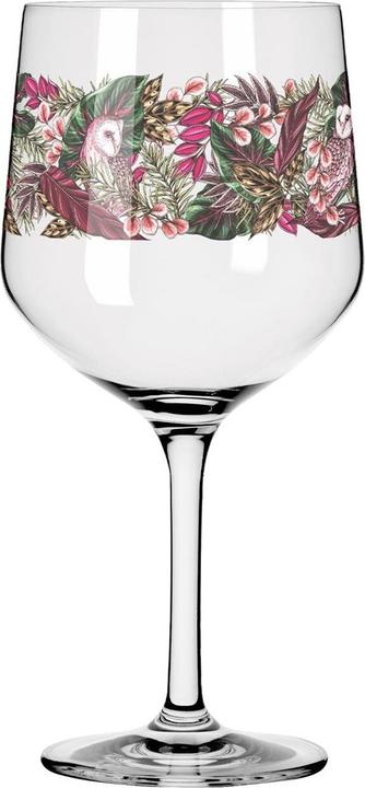 Immagine prodotto Ritzenhoff Bicchieri Gin Shadow Fauna (7.20 dl, 2 x, Bicchieri di gin)