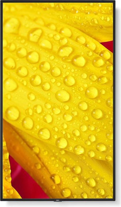 Productafbeelding Sharp M431-2 43 INCH UHD 500CD/SQM (3840 x 2160 Pixels, 43")