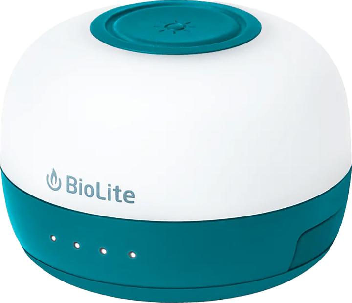 Sarcelle de l'océan