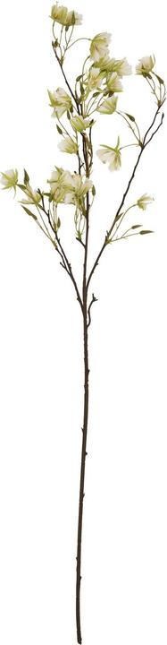 Actual product image Hill Interiors Elaeocarpus Artificial Flower (100 cm)