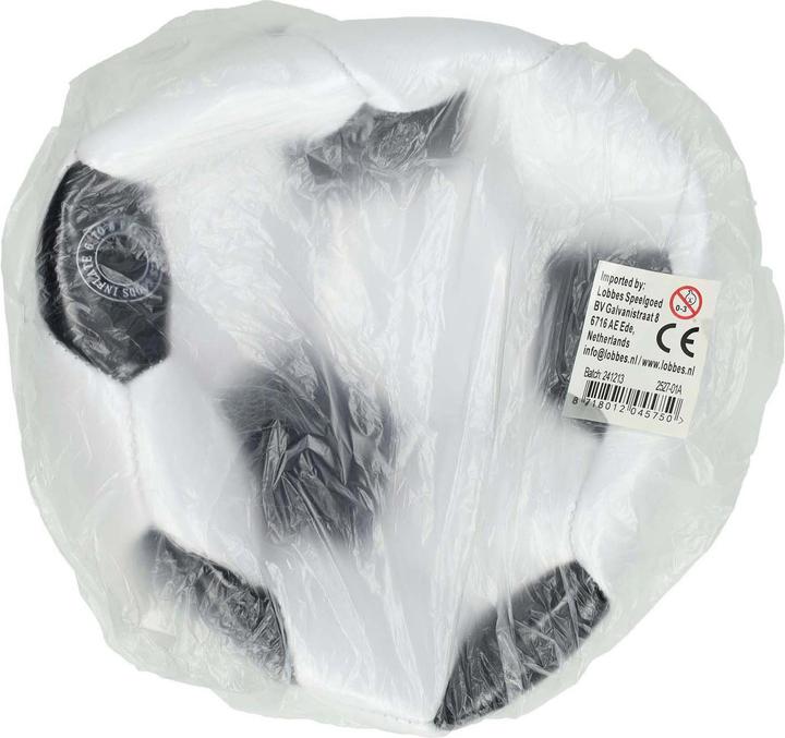 Voetbal zwart/wit