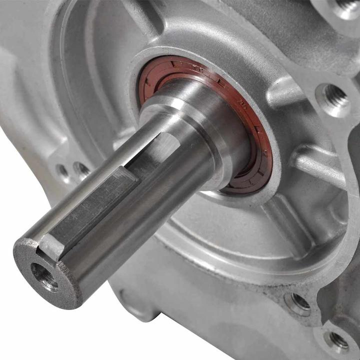 Actual product image vidaXL Pazia (11000 W, 6.50 l)