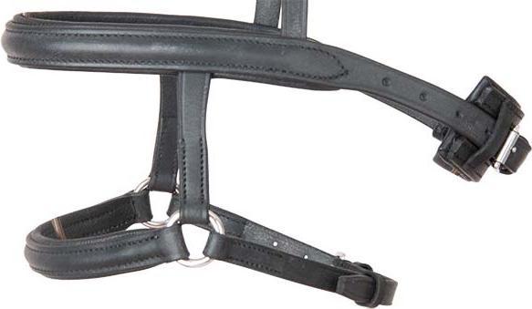 Immagine prodotto TdeT Museruola misto francese/