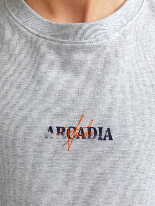 Produktbild Jack & Jones Jjecharge Graphic Sweat O-N Styd Aw24 Ln (M)