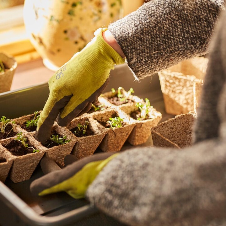 Actual product image Siena Garden Breeding pots