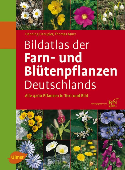 Produktbild Bildatlas der Farn- und Blütenpflanzen Deutschlands (Deutsch, Götz Heinrich Loos, Henning Haeupler, Thomas Muer, 2014)