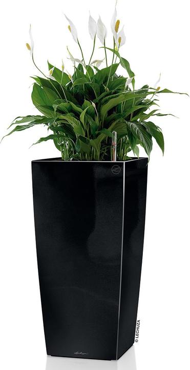 Produktbild Lechuza Cubico 30 (29.50 x 29.50 x 56.50 cm)