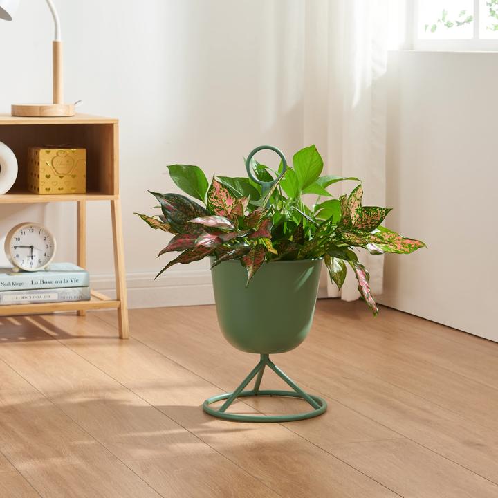 Image du produit En.Casa Alphen