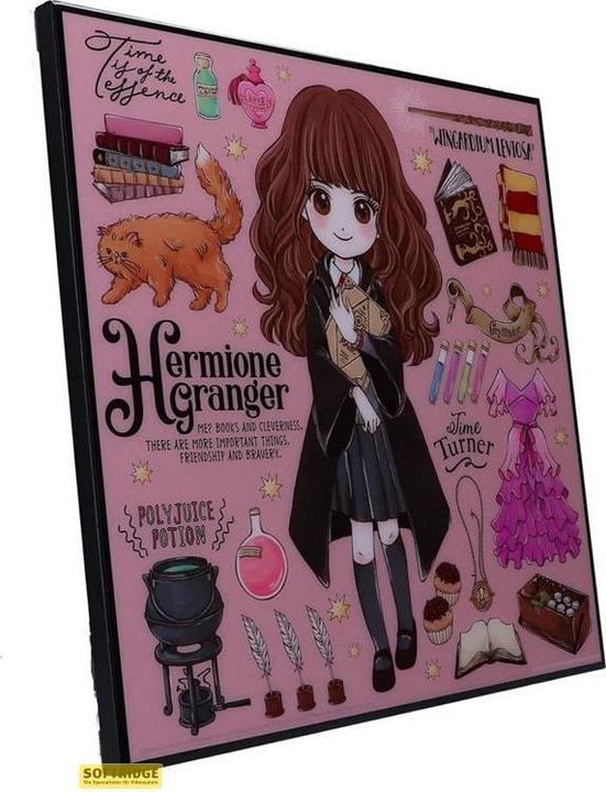Immagine prodotto Nemesis Now Harry Potter - Hermione Granger Crystal Clear Picture (32 x 32 cm)