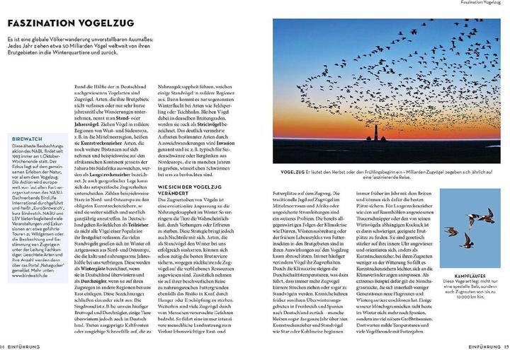 Actual product image Kosmos Das NABU-Vogelbuch (German, Fabian Karwinkel, Peter Mullen, 2023)