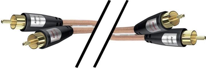 Image du produit Inakustik 2in1 (0.75 m, Câbles Cinch)