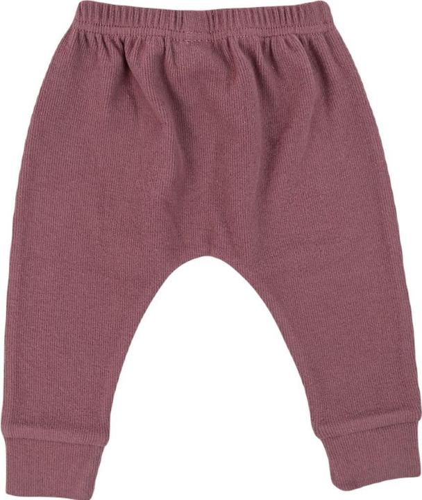 Actual product image Lodger Nomad Rib Jogger (68)
