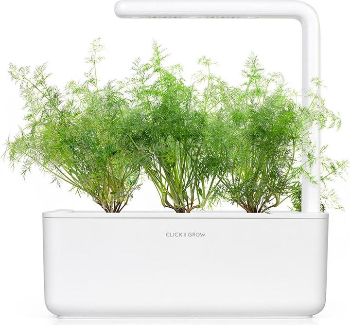 Produktbild Click and Grow Dill (Kräutersamen)