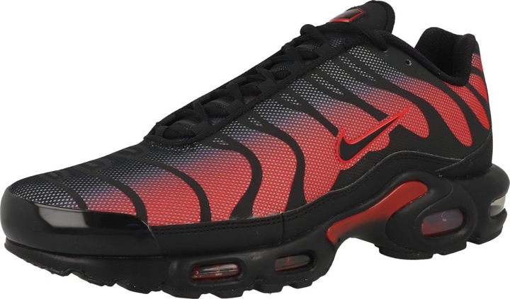 Image du produit Nike Air Max Plus (40)