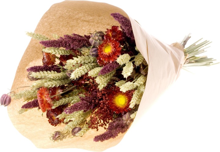Image du produit Anjel Ashley (Fleurs séchées)