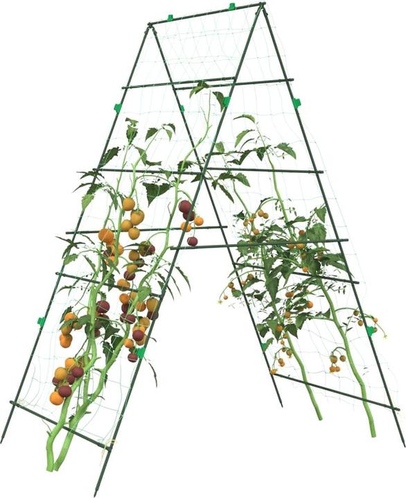 Immagine prodotto vidaXL Ranknetz (360 cm, 90 cm)