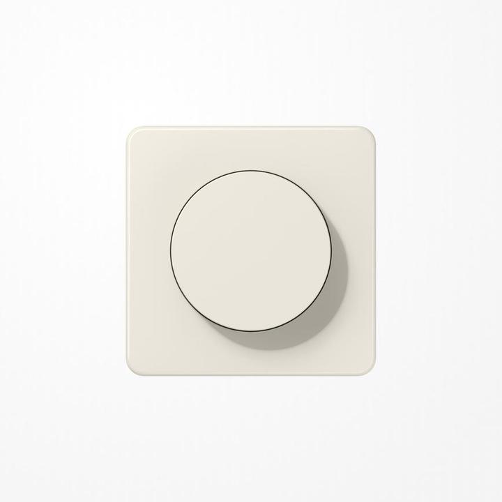 Actual product image JUNG Cover with knob CD1740