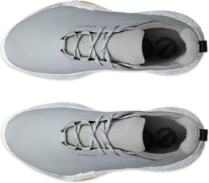 Produktbild Ecco Biom H5 Golfschuh Herren (41)