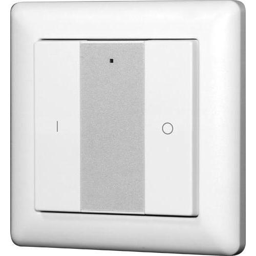 Synergy 21 Controllore EOS 05 Interruttore a parete 1-fold Serie 2, Pulsante + Interruttore