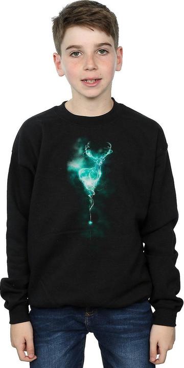 Immagine prodotto Felpa da ragazzo Patronus Mist (128)