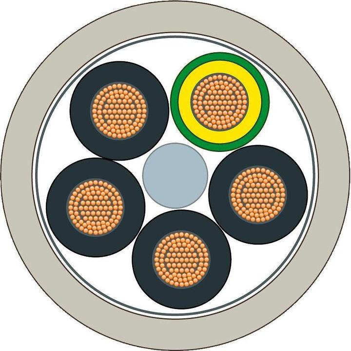 Image du produit Siemens Energy (1 m)