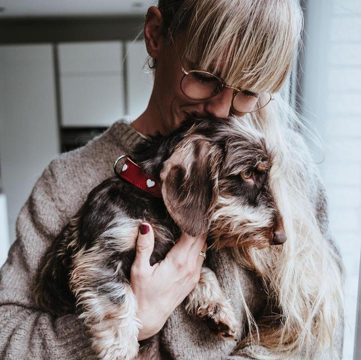 Immagine prodotto Hunter Collare Love per cani 42 (Cane, Passeggiare)