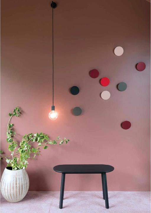 Actual product image Schönbuch Disc wall hooks