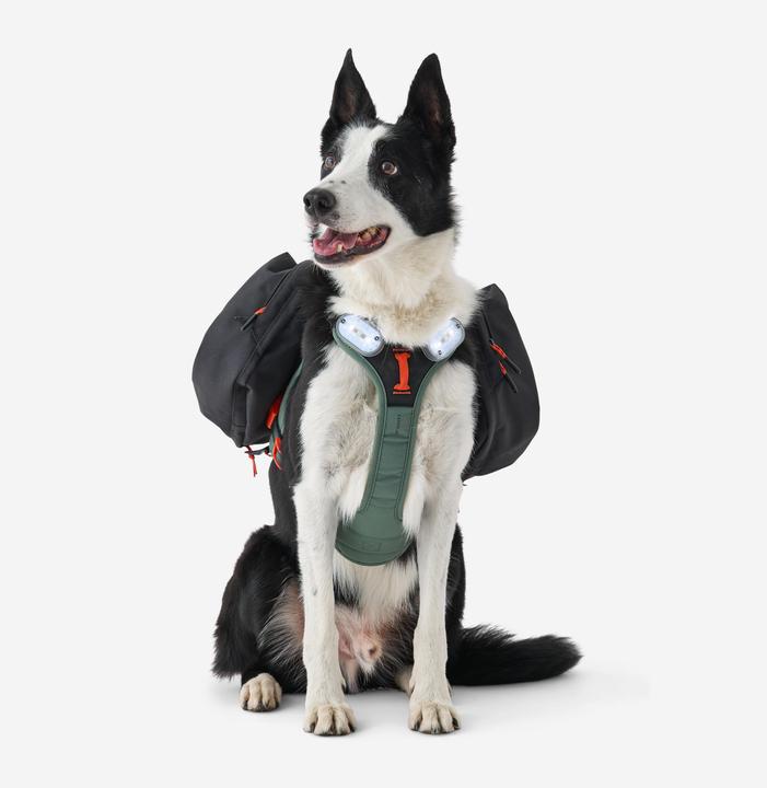 Produktbild Caperlan Hundegeschirr Wandern (S, Hund)