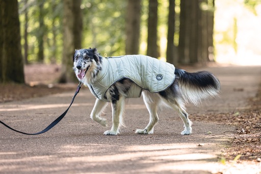 Produktbild Beeztees Bz Hund Mantel Bobby Taupe 52 (52, Hundemantel)