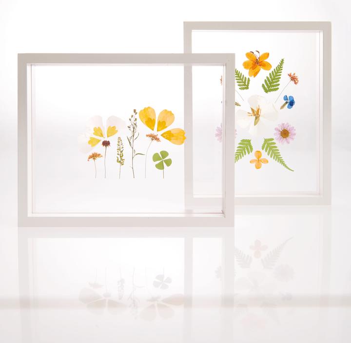 Actual product image Rico Design Nature