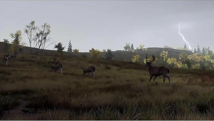 Actual product image THQ Way of the Hunter PS-5 Wild Expeditions (PS5, DE)