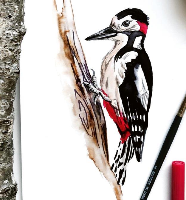 Immagine prodotto Das wundervolle Buch der Waldmotive (Tedesco, Tanja Geier, 2021)