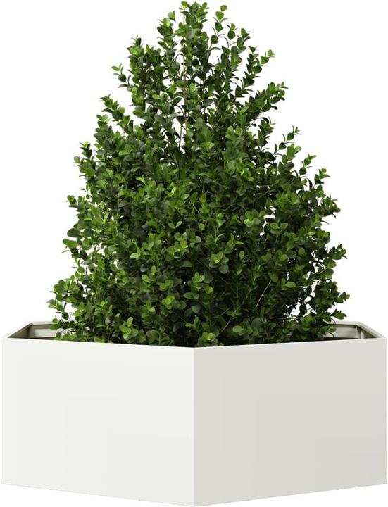 Produktbild vidaXL Pflanzkübel