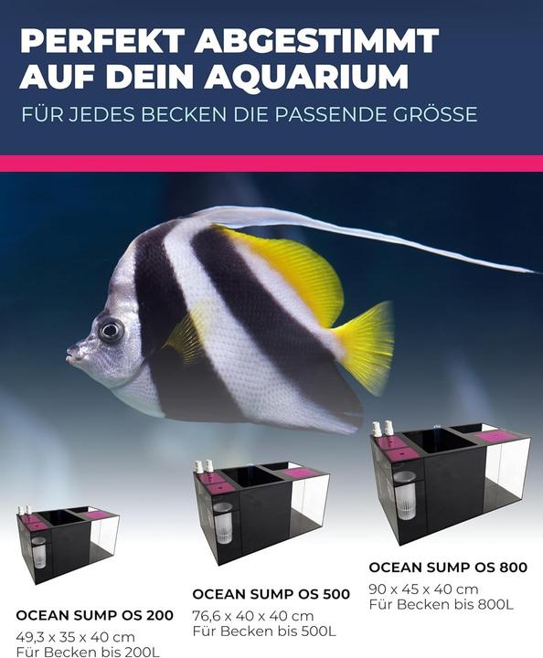 Actual product image Dupla Marin Ocean Sump OS 500 Filter System (500 l, Fresh water, Sea water)