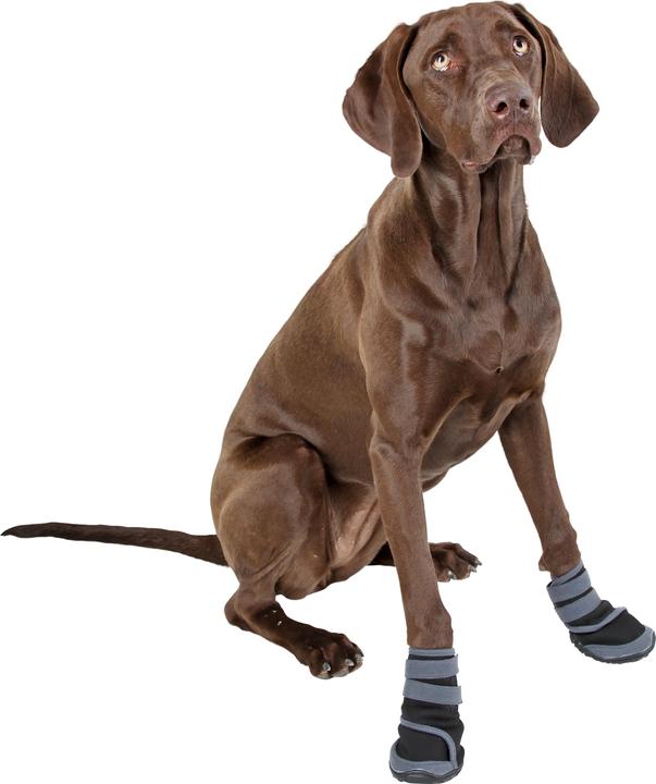 Produktbild Kerbl Active (L)