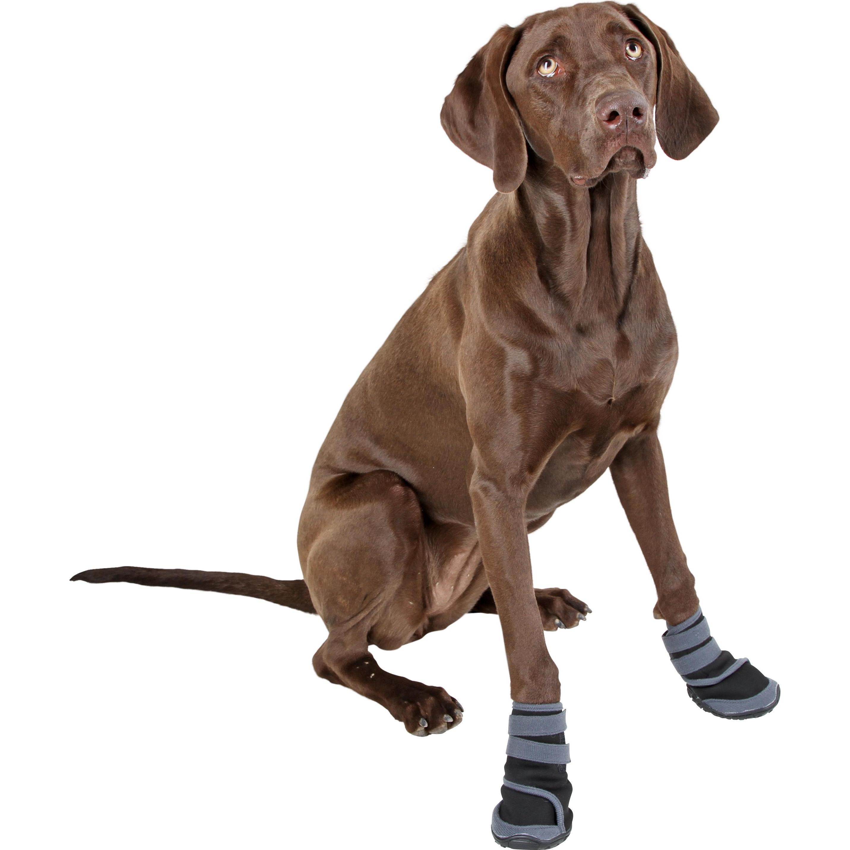 Thumbnail - Kerbl Active (Hund), Tierpflegemittel