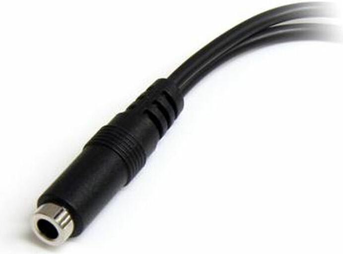 Actual product image StarTech 3.5mm audio jack Y cable 1 x 3.5mm (female) 2 x 3.5mm (male) (Splinters)