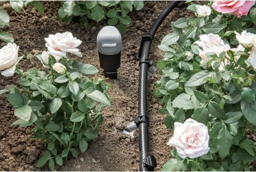 Actual product image Kärcher Replacement Sensor Pad