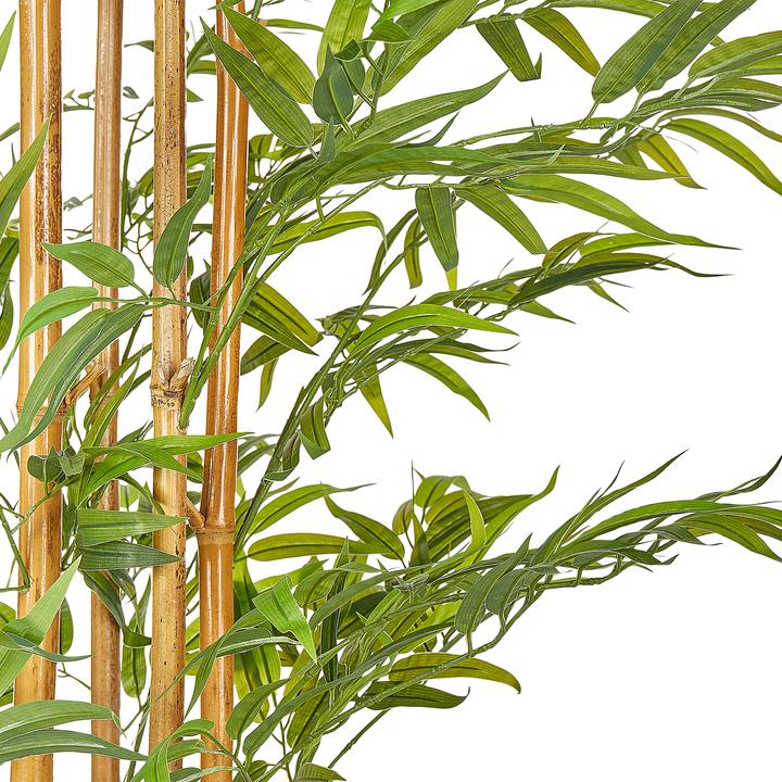 Immagine prodotto Beliani Bamboo (220 cm)