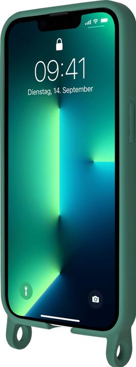 Actual product image Artwizz HangOn Case (Apple iPhone 13 Pro)