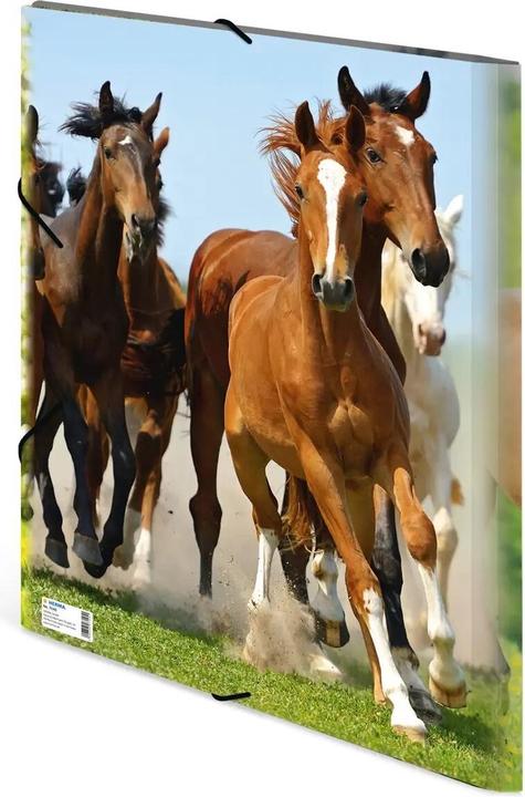 Produktbild HERMA Sammelmappe A3 Motiv (A3, 1x)