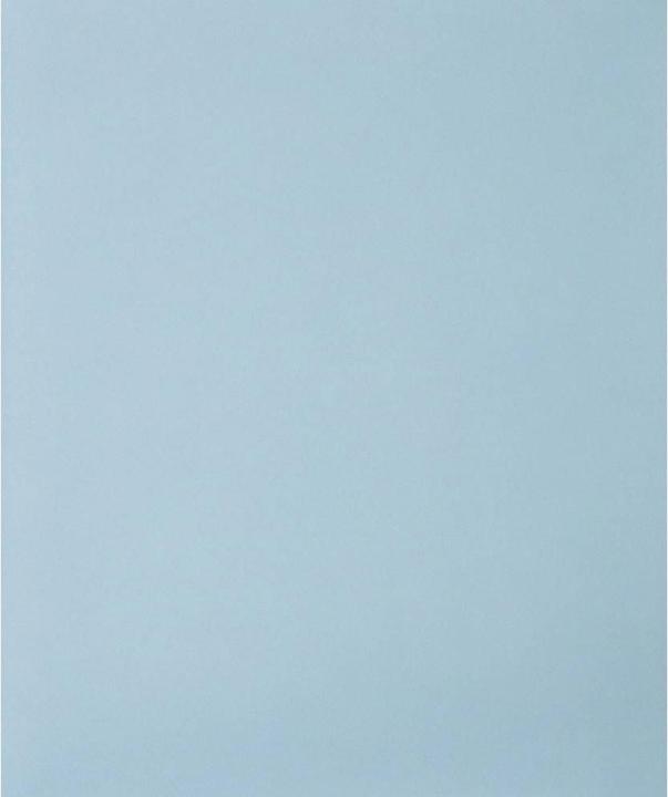 Produktbild Pferd Blattware BP 230x280 SiC 000 (100, 120, 150, 180, 220)