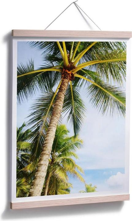 Image du produit Trenddeko Palms 07 (40 x 50 cm)