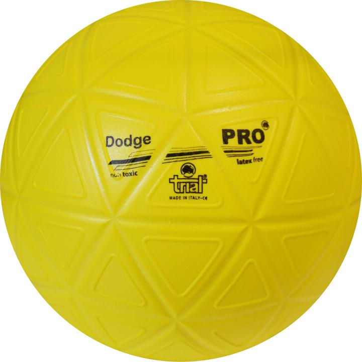 Actual product image Trial Dodgeball Pro