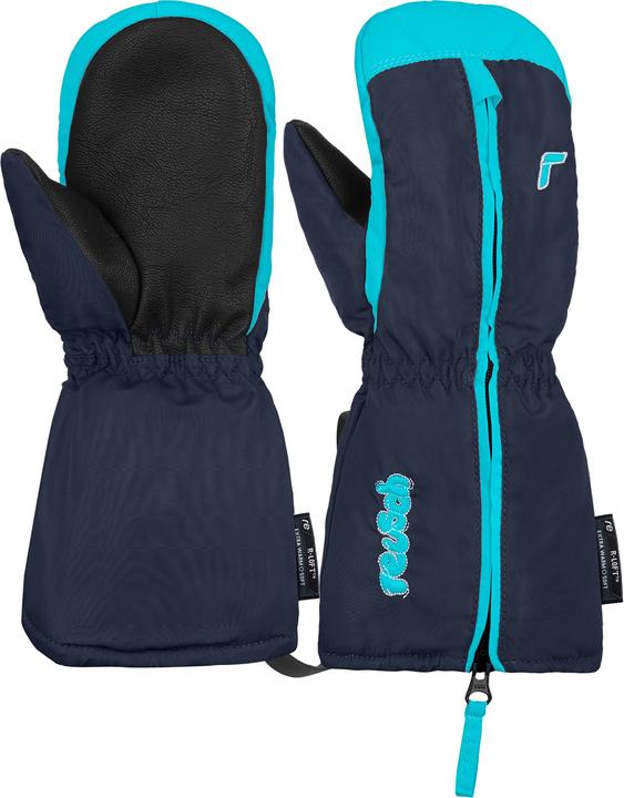 Bachelor Button, Dress Blue