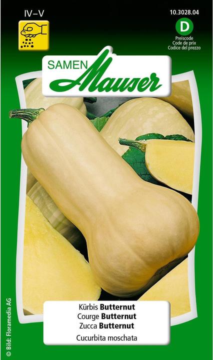 Image du produit Samen Mauser Courge musquée (Graines de légumes)