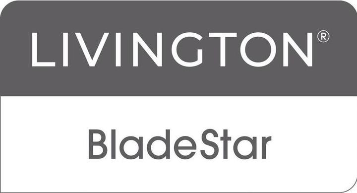 Produktbild Livington Messerschärfer